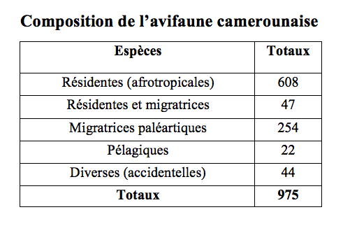 Composition de l’avifaune camerounaise